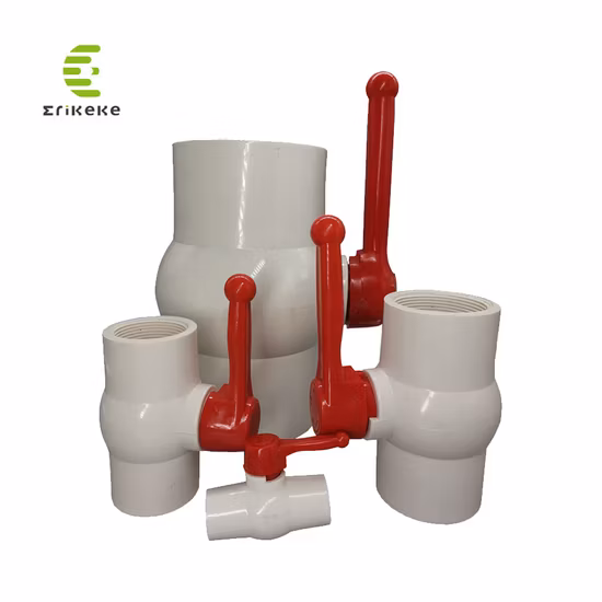 Livraison rapide 1/2